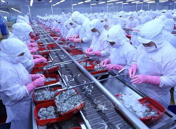 Kim ngạch thủy sản 2022 của Việt Nam sẽ cán mốc kỷ lục 11 tỷ USD?
