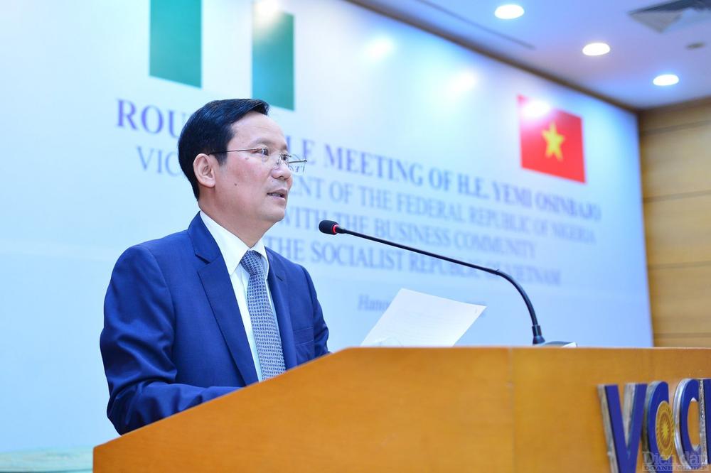 Thúc đẩy cơ hội hợp tác đầu tư doanh nghiệp Việt Nam - Nigeria