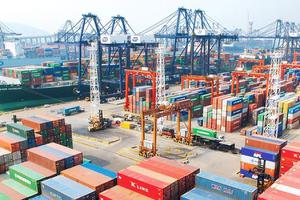 Hợp nhất quy định về cấp C/O và Văn bản...