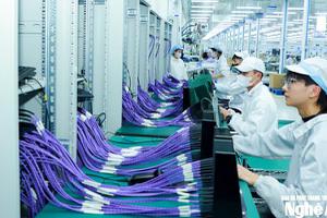 Nghệ An: Nuôi dưỡng nguồn thu, tạo động lực...
