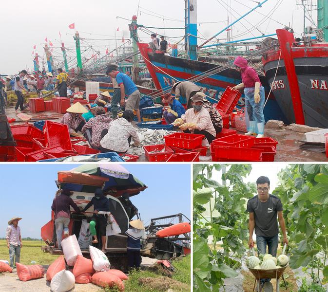 Nghệ An siết chặt quản lý chất lượng nông, lâm, thủy sản
