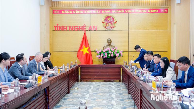 Lãnh đạo UBND tỉnh Nghệ An làm việc với Chủ tịch Tập đoàn xây dựng Thái Bình Dương