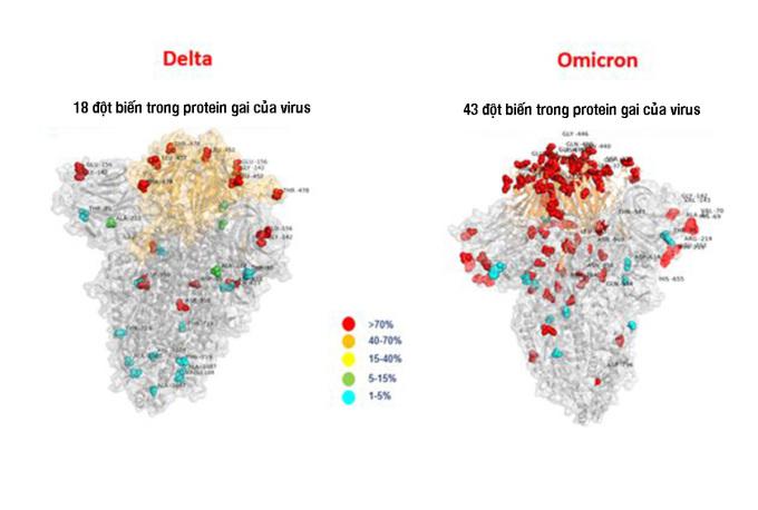 Biến chủng Omicron có tạo làn sóng dịch COVID-19 mới?