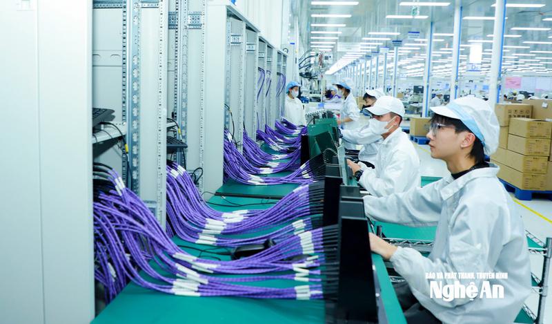 Nghệ An: Nuôi dưỡng nguồn thu, tạo động lực tăng trưởng kinh tế