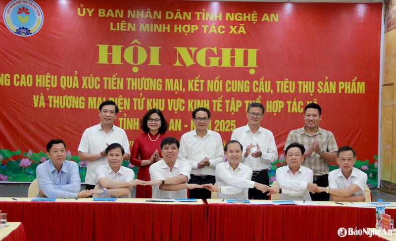 Hỗ trợ các hợp tác xã xây dựng chuỗi giá trị liên kết từ sản xuất - chế biến - tiêu thụ