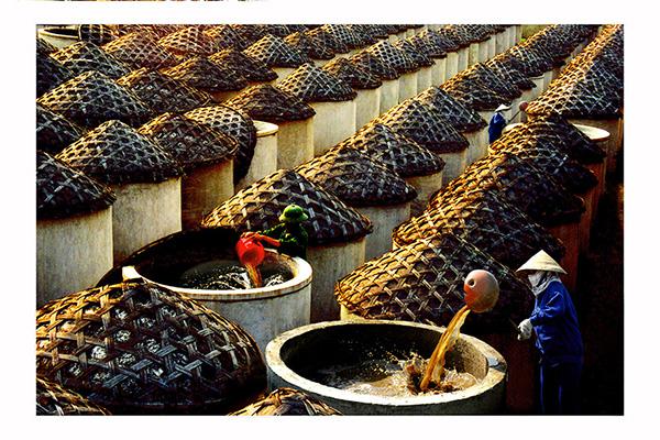 Thông cáo báo chí tình hình kinh tế - xã hội, quốc phòng - an ninh tỉnh Nghệ An tháng 9/2025