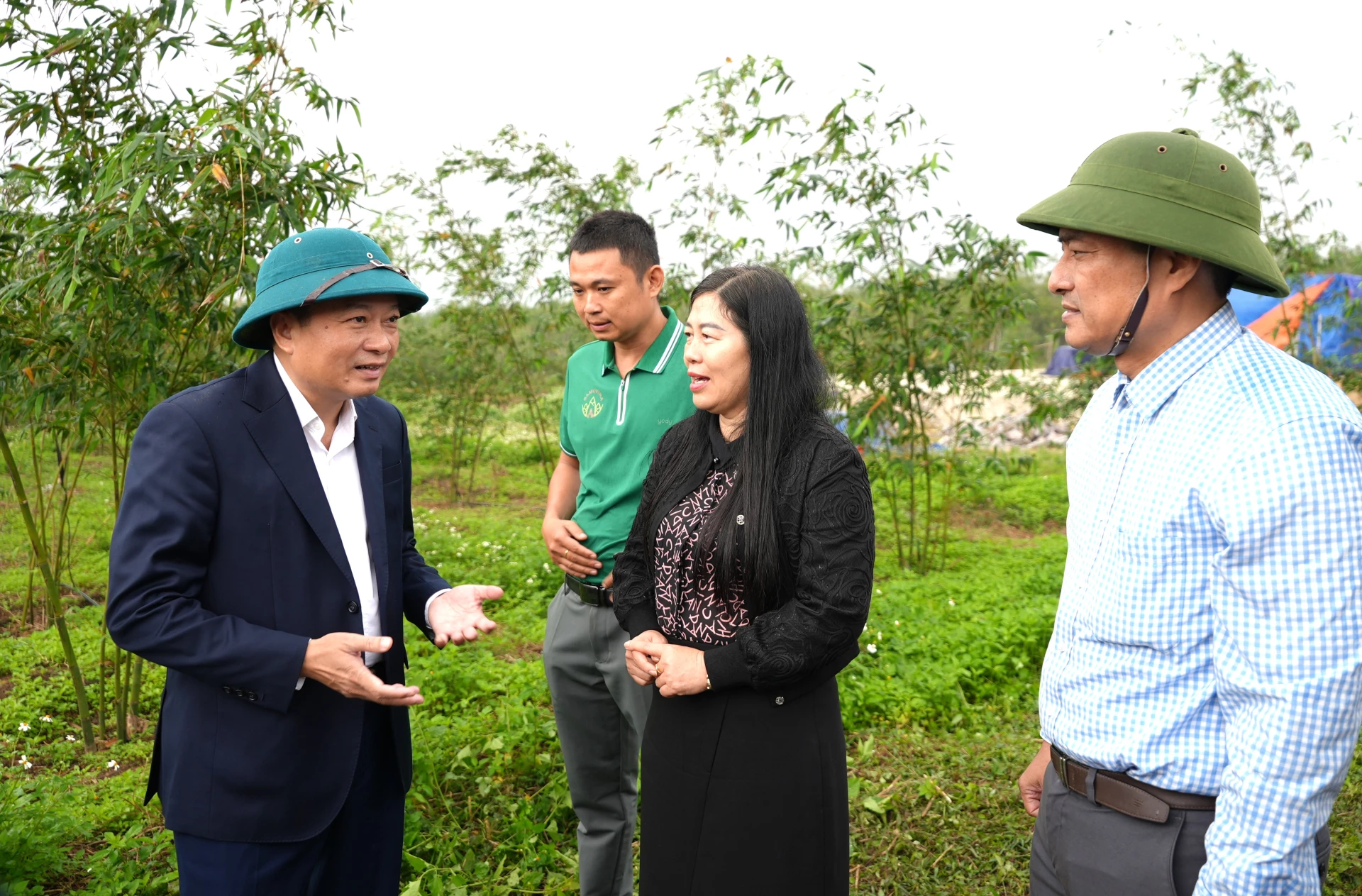 Đồng chí Lê Hồng Vinh, Chủ tịch UBND tỉnh lưu ý doanh nghiệp cần đánh giá kỹ hiệu quả trước khi mở rộng vùng trồng Tre lục trúc lấy măng - Ảnh: Trung Đức