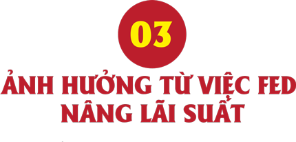 9 rủi ro với kinh tế thế giới trong năm 2022 - Ảnh 4