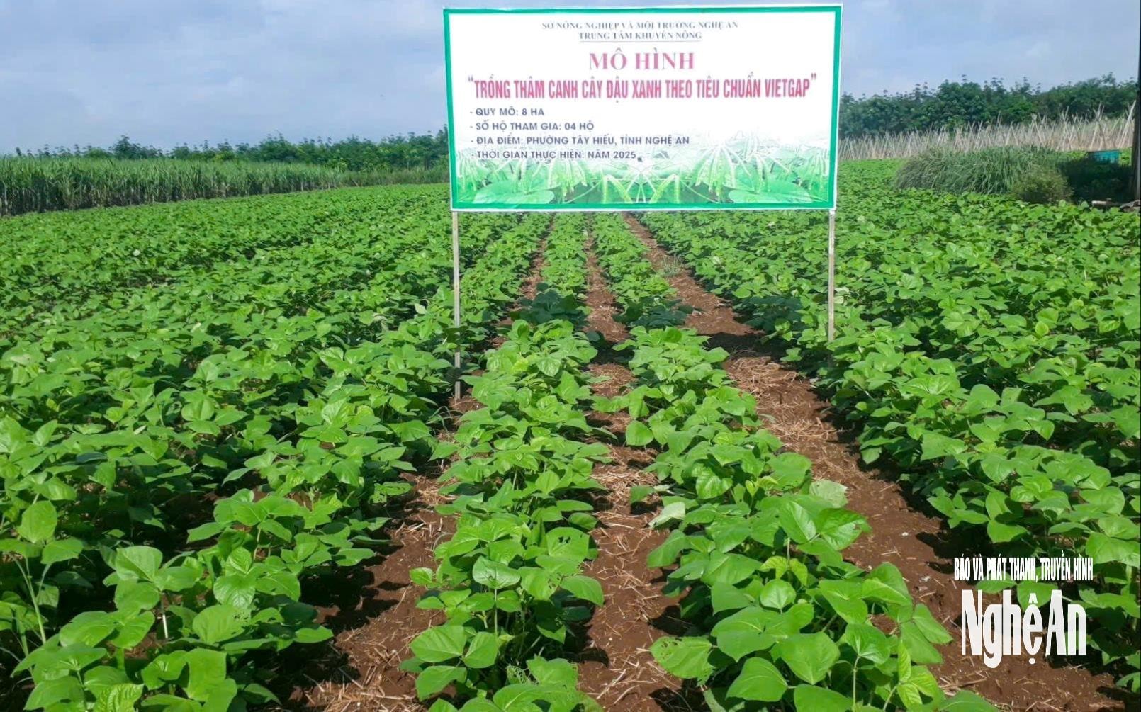 ban-sao-bna_l5-1-.jpg