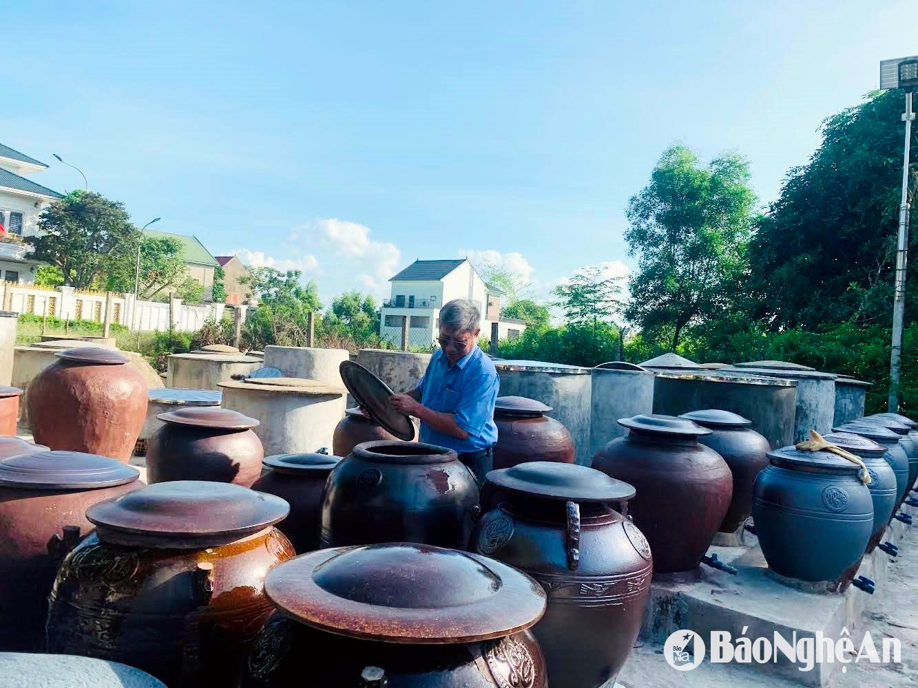 Làng nghề nước mắm Hải Giang 1. Ảnh: Phú Hương